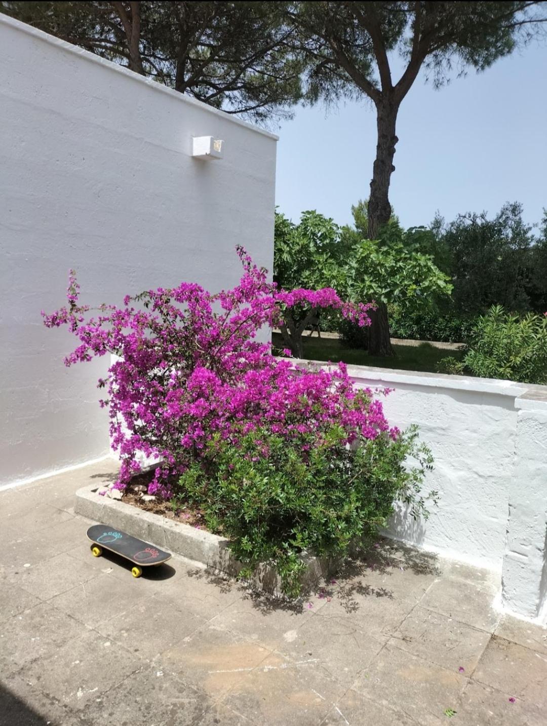 Villa Casa Azzurra Conca Specchiulla Exterior foto